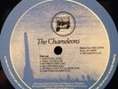 Chameleons Script Of Bridge 12