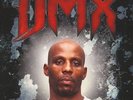 DMX - Greatest Hits Vinyl 2LP NEU 0952309