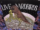 1968 SCARCE WITHDRAWN LP ORIG YARDBIRDS   LIVE 1968    LED ZEPPELIN PAGE Psych