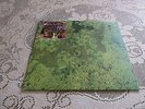 ANIMAL COLLECTIVE. WATER CURSES. PICTURE SLEEVE. ROUG TRADE 2008. PSYCH.