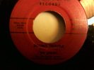 The Offbeets (early We the People)She Lied Garage/psyche rocker Tropical 109