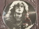 LED ZEPPELIN Rare Picture Disc In Person Part Two 1975 Numbered # / 375 No TMOQ