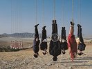 Alan Parsons - Try Anithing Once (Limited Colour 180 gr.) [2 LP]