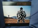 Pink Floyd - Delicate Sound Of Thunder - Vinyl LP
