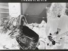 NIRVANA - BLEACH NEW VINYL