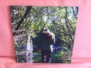 ENDLESS BOOGIE LP Focus Level NO QUARTER great copy OOP psych