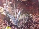 ALMEIDA JUAN SIBONEY CUBAN LIBRARY FUNK BREAKS SAMPLES LP HEAR LISTEN