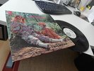 JIMMY CAMPBELL, HALF BAKED, RARE ORIGINAL 1970 VERTIGO SWIRL MINT LP