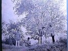 SMALL FACES THERE ARE BUT FOUR SMALL FACES RARE SEALED (ORIG?) '67 IMMEDIATE LP