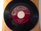 Original Checker 45 /  THE FLAMINGOS / That's My Baby & When / VG+++