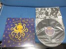Veruca Salt Eight Arms to Hold You US Vinyl LP in 1997 Nina Gordon Minty Fresh