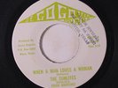 rare Texas Soul 45 SUNLITES when a man loves a woman SEGOGOVIA Percy Sledge