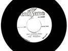 SEND ANOTHER MOSES - The Willows (R65292)