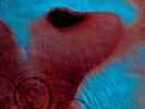 Pink Floyd Meddle LP vinyl record sealed syd barrett david gilmour led zepplin