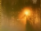 Senses Fail Renacer vinyl purple #d/500 SEALED not Brand New Bayside Deja