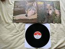 DARYL WAY'S WOLF - Canis Lupus (1973 UK Deram g/f 1st press Curved Air)superb NM