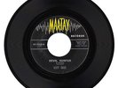Rare Surf 45: SCOTT ENGEL ((HEAR))