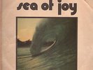 EXTRA RARE hippie rock FUNK psych FOLK SURF oZ Soundtrack SEA OF JOY by TULLY