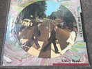 The Beatles Abbey Road Picture Disc Vinyl Record - Limited Edition