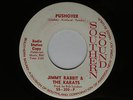 1965 Garage Rock 45 JIMMY RABBIT & THE KARATS Pushover dj promo EX  LISTEN