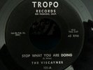 RARE Original * THE VISCAYNES * DOO WOP Vocal Group 45 Tropo Records