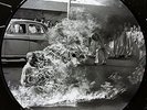 Rage Against The Machine XX NEW VINYL LP PICTURE DISC *FREE UK POST *WORLD SHIP
