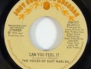 Voices Of East Harlem 