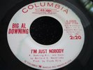 Rare R&B Soul 45 : Big Al Downing   I'm Just Nobody   Columbia 4-43028 Promo