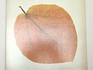 PETE JOLLY SEASONS LP  NEAR MINT 