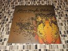 STONE TEMPLE PILOTS with CHESTER BENNINGTON HIGH RISE  10