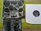 Clandestine Blaze -Fist of the Northern Destroyer Original EAL