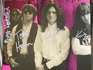 The Cynics   Rock 'N' Roll   US LP  WLP/Signed  HEAR