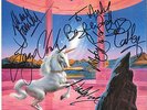 Magnum signed 
