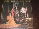 Gryphon rare '74 UK 1st press LP Midnight Mushrumps on TRA ** psych folk prog