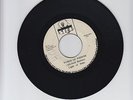 LIGHT OF SABA/WORDS OF WISDOM - MICHAEL RASTAR LIGHT OF SABA  (74  ROOTS  7