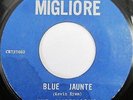  60s Garage Psych THE AMBERJACKS Hey Eriq b/w Blue Jaunte 45 MIGLIORE
