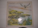 JIMI SLEVIN..FREEFLIGHT..SUPER IRISH 1ST PRESS..(PEGGY'S LEG)...BEAUTIFUL