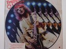 PETER FRAMPTON Frampton Comes Alive LP A&M PR 3703 US 1978 VG++ Picture Disc