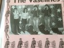 Vaselines