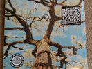 Bobby Bare, Jr. - A Storm A Tree My Mother's Head - Vinyl LP 2010 Rare oop NM