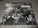RUSH Presto LP ORG 1989 Sealed KING CRIMSON PINK FLOYD ELOY KANSAS