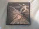 NMH Vinyl Box Set [Box] * by Neutral Milk Hotel (Vinyl, Dec-2011, 7 Discs,...