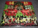 PANTERA -PROJECTS IN THE JUNGLE- ORIGINALLY RECORDED 1984 RE-PRESS MINT SLAYER