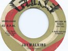 NORTHERN SOUL R&B ROCKER - THE UPSETTERS 