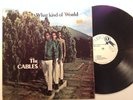 THE CABLES - what kind of world - STUDIO 1