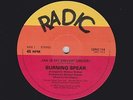 BURNING SPEAR Jah Is My Driver 12