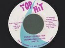 INCOMPARABLE SEVEN funky grand-paw MIAMI FUNK 45 on TOP HIT