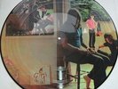 Pink Floyd - Umma Gumma (Picture Disc)