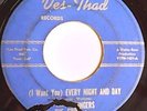 The Springers  “(I Want You) Every Night