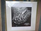 Led Zeppelin Summer Of Sam Volume # 8 Acetate Rare Not TMOQ MINT